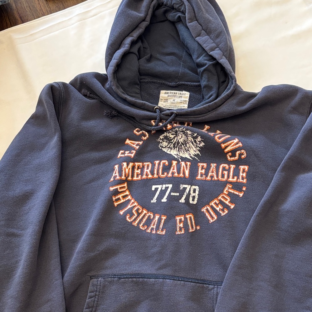 American Eagle Outfitters Charcoal Graphic Hoodie